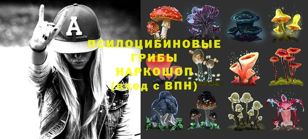 эйфоретик Новозыбков