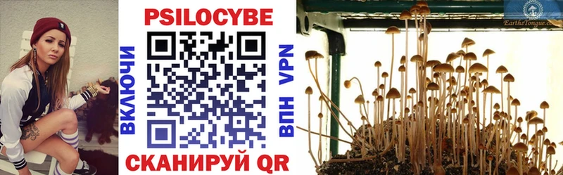 kraken маркетплейс  Амурск  Галлюциногенные грибы Cubensis 