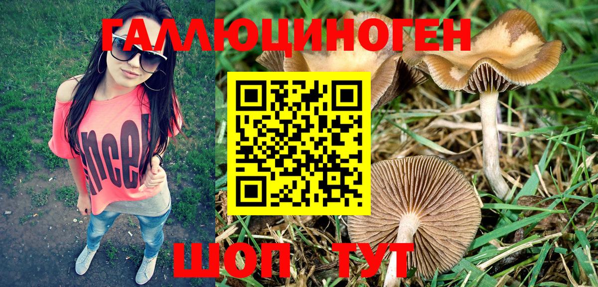 Галлюциногенные грибы Cubensis Амурск