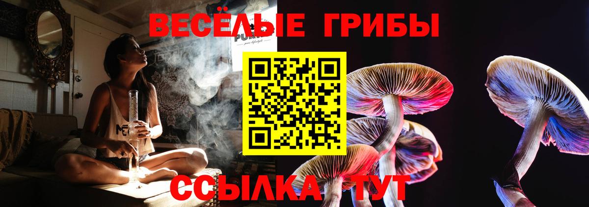 Псилоцибиновые грибы прущие грибы  Вход с VPN  Амурск 