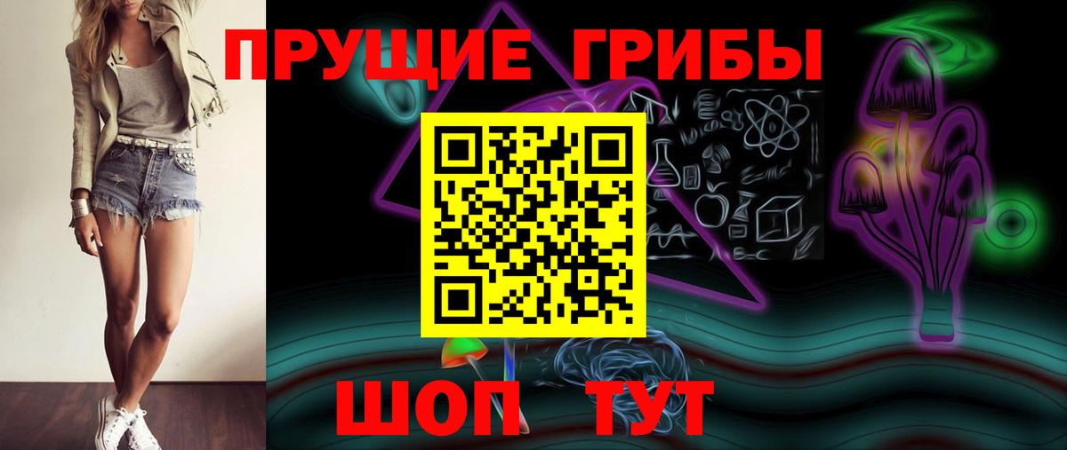 Псилоцибиновые грибы Psilocybine cubensis Амурск