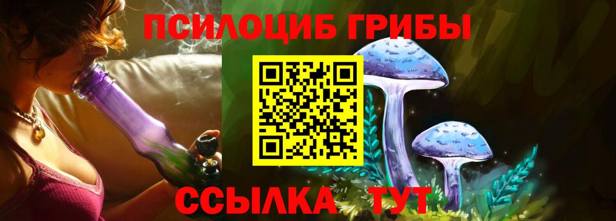 Амурск  цены   Вход с VPN  Псилоцибиновые грибы мицелий 
