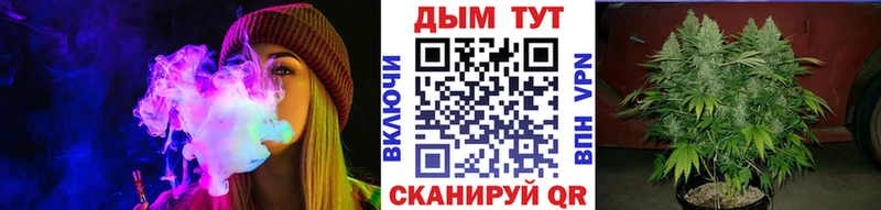 Бошки Шишки VHQ  Амурск 